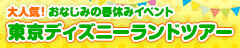 東京ディズニーランドツアー！