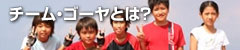 チーム・ゴーヤとは？